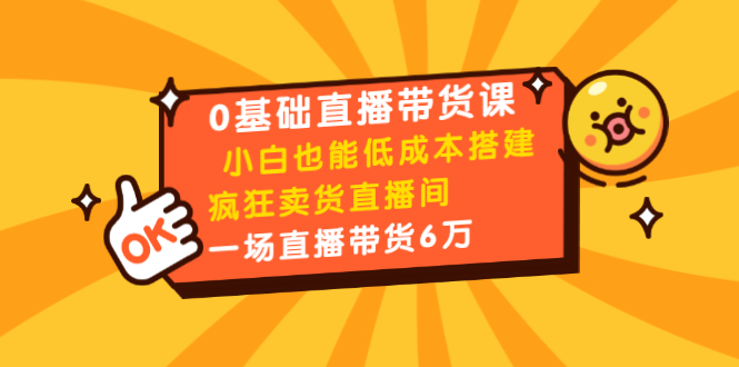 0基础直播带货课：小白也能低成本搭建疯狂卖货直播间：1场直播带货6万-优才资源站