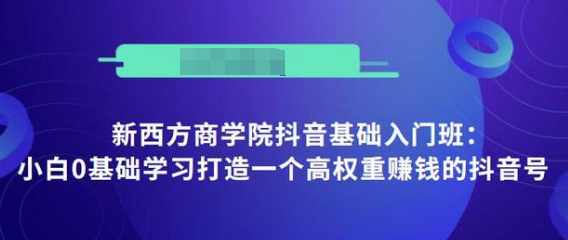 抖音基础入门班：小白0基础学习打造一个高权重赚钱的抖音号-优才资源站