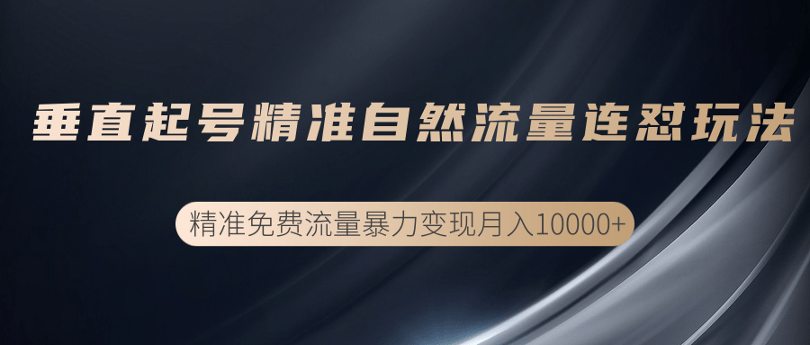 垂直起号精准自然流量连爆玩法，精准引流暴力变现月入10000+-优才资源站