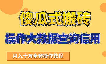 搬砖操作大数据查询信用项目赚钱教程，祝你快速月入6万-优才资源站