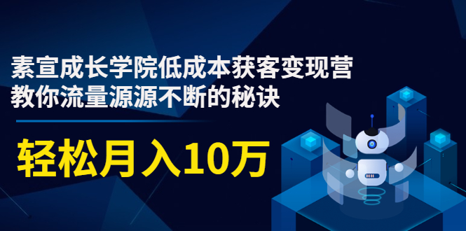 素宣成长学院低成本获客变现营，教你流量源源不断的秘诀，轻松月入10万-优才资源站