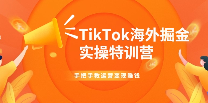 TikTok海外掘金实操特训营：手把手教运营变现赚钱-优才资源站