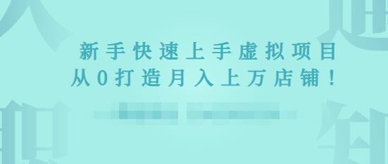 2022年虚拟项目实战指南，新手从0打造月入上万店铺-优才资源站