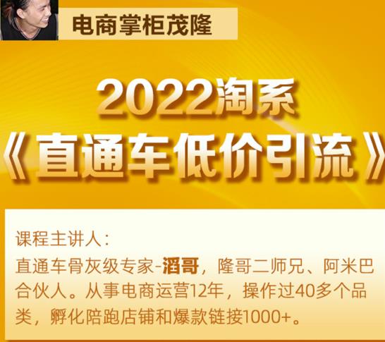 茂隆2022直通车低价引流玩法，教大家如何低投入高回报的直通车玩法-优才资源站