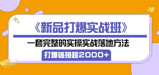 凌童《新品打爆实战班》,一套完整的实操实战落地方法，打爆链接超2000+（28节课)-优才资源站