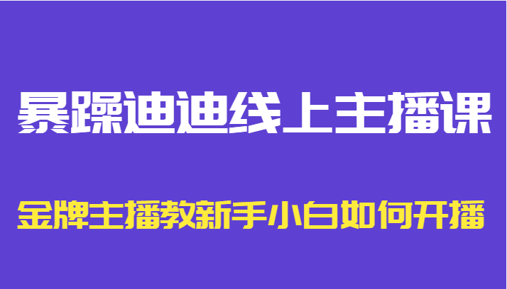 暴躁迪迪线上主播课，金牌主播教新手小白如何开播-优才资源站