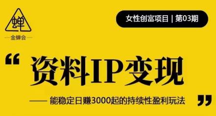 资料IP变现，能稳定日赚3000起的持续性盈利玩法-优才资源站