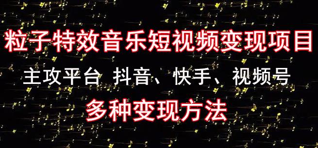 黄岛主《粒子特效音乐短视频变现项目》主攻平台抖音、快手、视频号多种变现方法-优才资源站