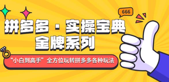 拼多多·实操宝典：金牌系列“小白到高手”带你全方位玩转拼多多各种玩法-优才资源站