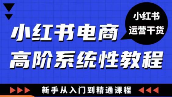 小红书电商高阶系统教程，新手从入门到精通系统课-优才资源站