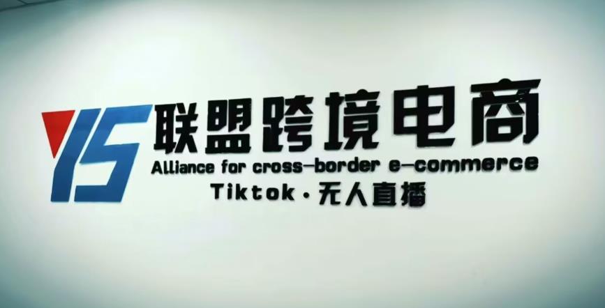 YS联盟·Tiktok无人直播，不出镜不剪辑不拍摄不发货无售后的跨境短视频躺赚玩法-优才资源站