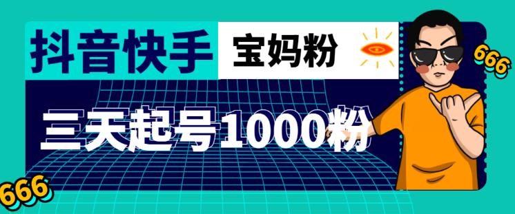 抖音快手三天起号涨粉1000宝妈粉丝的核心方法【详细玩法教程】-优才资源站