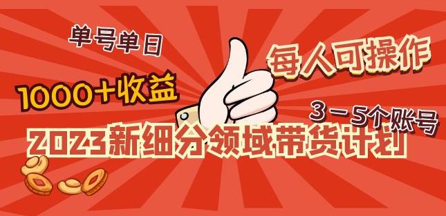 2023新细分领域带货计划：单号单日1000+收益不难，每人可操作3-5个账号-优才资源站