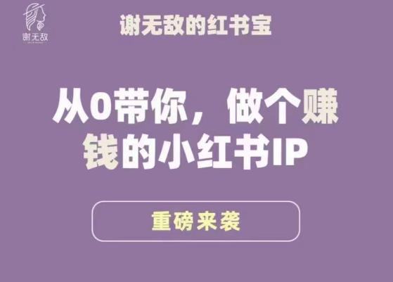 谢无敌·小红书运营大宝典，从0带你做个赚钱的小红书IP-优才资源站