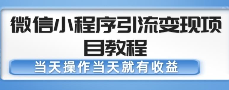 微信小程序引流变现项目教程，当天操作当天就有收益，变现不再是难事-优才资源站