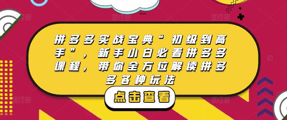 拼多多实战宝典“初级到高手”，新手小白必看拼多多课程，带你全方位解读拼多多各种玩法-优才资源站