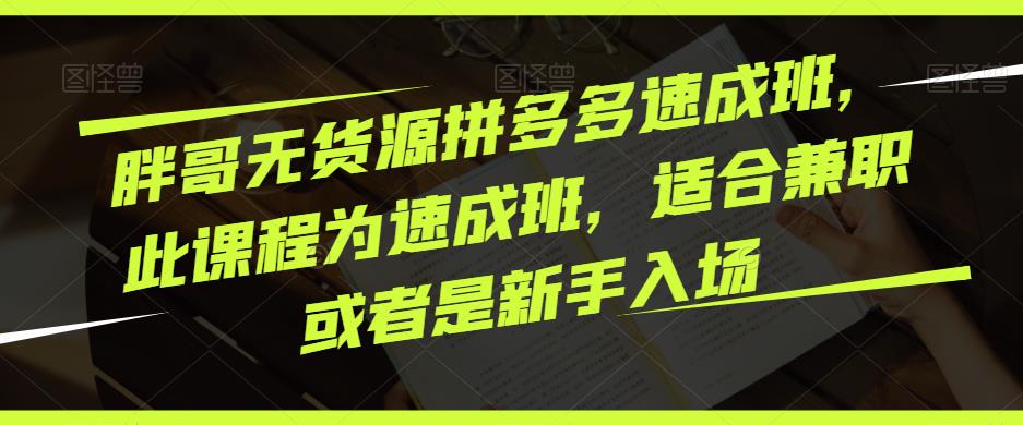 胖哥无货源拼多多速成班，此课程为速成班，适合兼职或者是新手入场-优才资源站