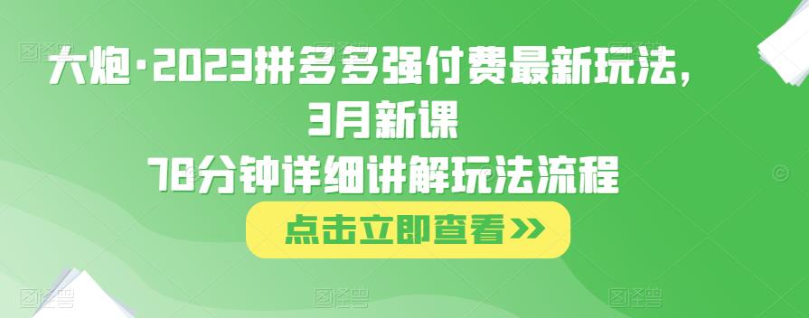 大炮·2023拼多多强付费最新玩法，3月新课​78分钟详细讲解玩法流程-优才资源站