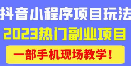 抖音小程序9.0新技巧，2023热门副业项目，动动手指轻松变现-优才资源站