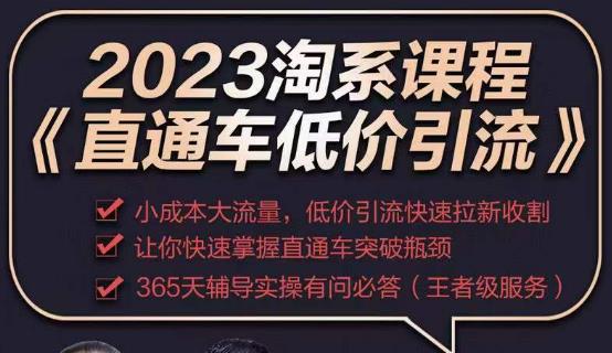 2023直通车低价引流玩法课程，小成本大流量，低价引流快速拉新收割，让你快速掌握直通车突破瓶颈-优才资源站