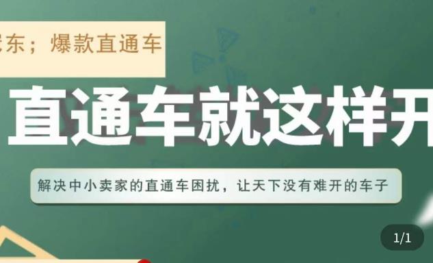 冠东·淘系直通车保姆级教程，全面讲解直通车就那么简单-优才资源站