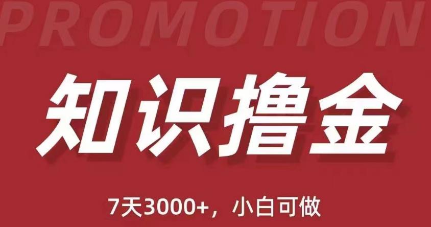 抖音知识撸金项目：简单粗暴日入1000+执行力强当天见收益(教程+资料)-优才资源站