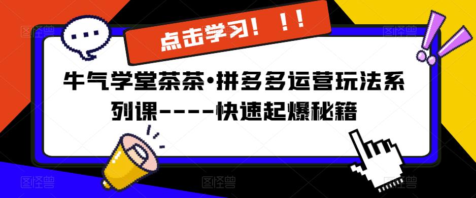 牛气学堂茶茶•拼多多运营玩法系列课—-快速起爆秘籍【更新】-优才资源站