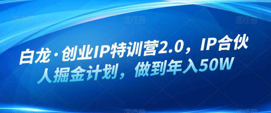 白龙·创业IP特训营2.0，IP合伙人掘金计划，做到年入50W-优才资源站