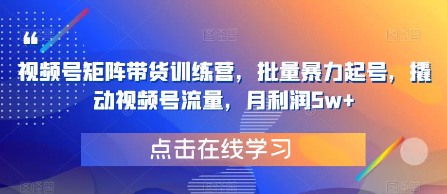 视频号矩阵带货训练营，批量暴力起号，撬动视频号流量，月利润5w+-优才资源站