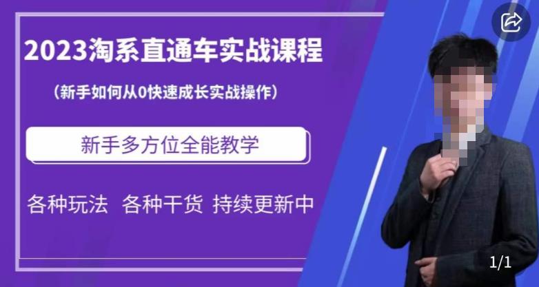 2023淘系直通车保姆式运营讲解，新手如何从0快速成长实战操作，新手多方位全能教学-优才资源站