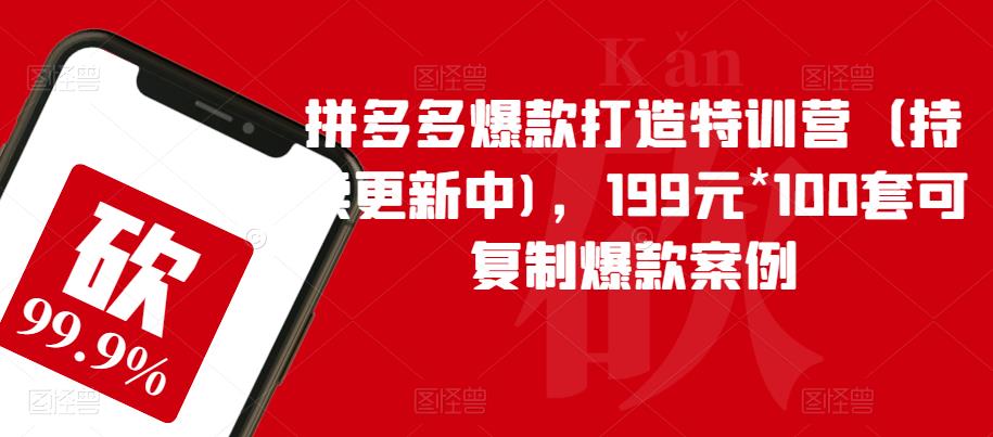 拼多多爆款打造特训营（持续更新中)，199元*100套可复制爆款案例-优才资源站