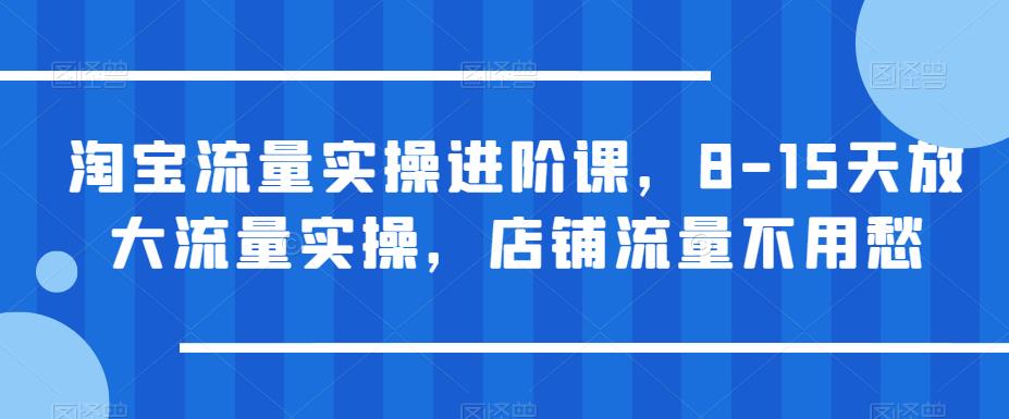 淘宝流量实操进阶课，8-15天放大流量实操，店铺流量不用愁-优才资源站