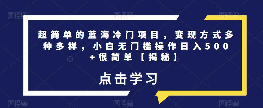 超简单的蓝海冷门项目，变现方式多种多样，小白无门槛操作日入500+很简单【揭秘】-优才资源站