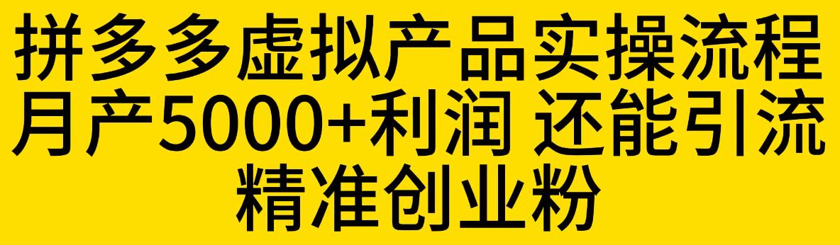 拼多多虚拟产品实操流程，月产5000+利润，还能引流精准创业粉【揭秘】-优才资源站