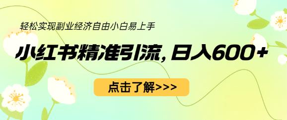 小红书精准引流，小白日入600+，轻松实现副业经济自由（教程+1153G资源）-优才资源站