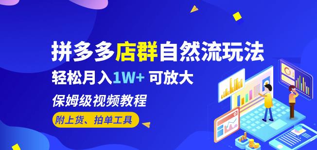 拼多多店群自然流玩法，轻松月入1W+保姆级视频教程（附上货、拍单工具）-优才资源站