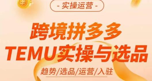 伍跃·跨境拼多多TEMU实操与选品，​趋势/选品/运营/入住（27节完整）-优才资源站