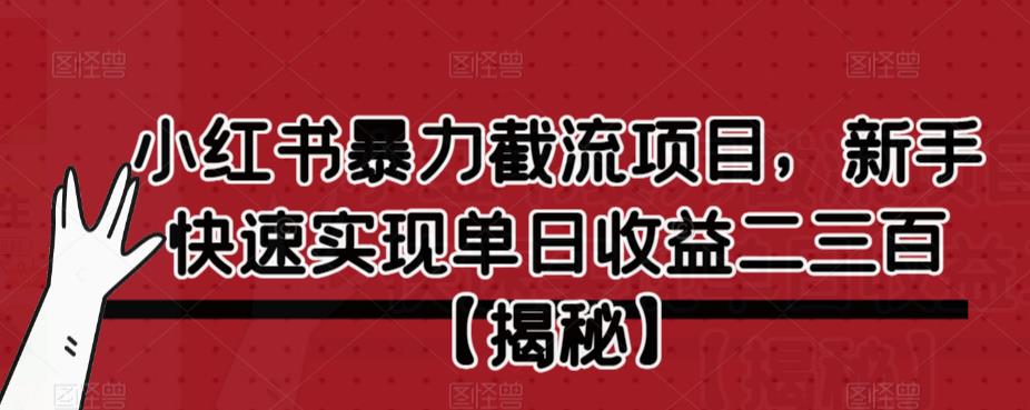 小红书暴力截流项目，新手快速实现单日收益二三百【仅揭秘】-优才资源站