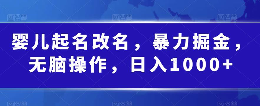 婴儿起名改名，暴力掘金，无脑操作，日入1000+【揭秘】-优才资源站