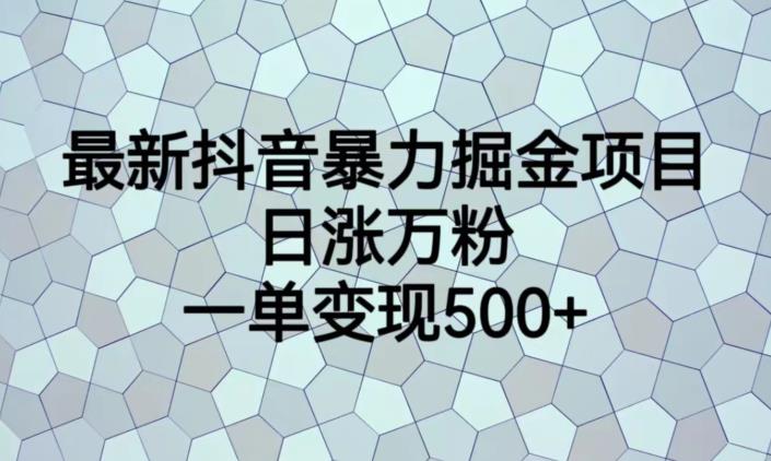 最新抖音暴力掘金项目，日涨万粉，一单变现500+【揭秘】-优才资源站