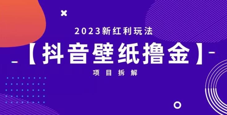 抖音壁纸小程序创作者撸金项目，2023新红利玩法【项目拆解】-优才资源站