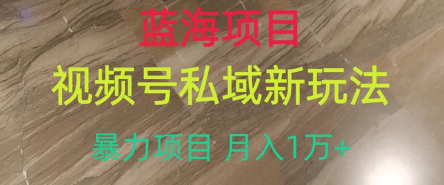 蓝海项目，视频号私域新玩法，暴力项目月入1万+【揭秘】-优才资源站