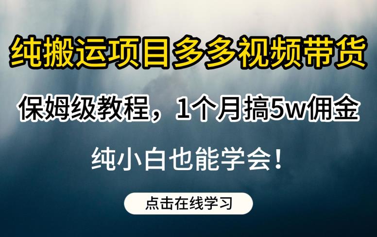 纯搬运项目多多视频带货保姆级教程，1个月搞5w佣金，纯小白也能学会【揭秘】-优才资源站