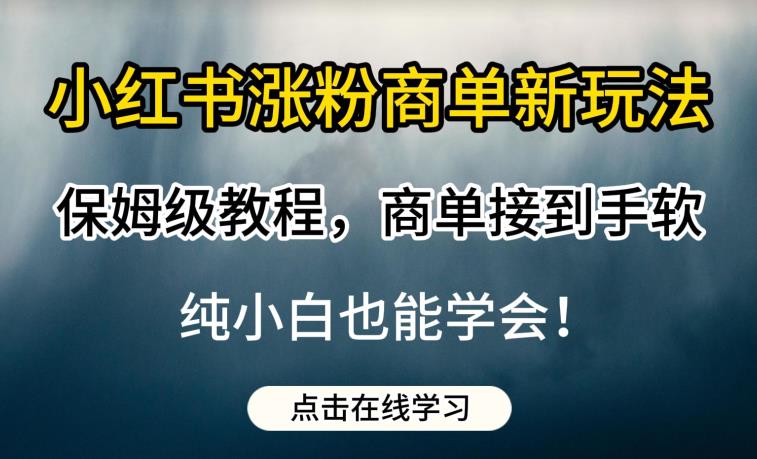 小红书涨粉商单新玩法，保姆级教程，商单接到手软，纯小白也能学会【揭秘】-优才资源站