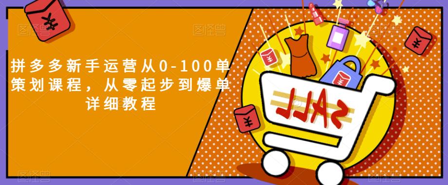 拼多多新手运营从0-100单策划课程，从零起步到爆单详细教程-优才资源站