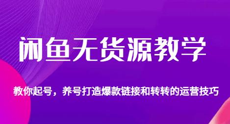 闲鱼无货源教学，教你起号，养号打造爆款链接以及转转的运营技巧-优才资源站