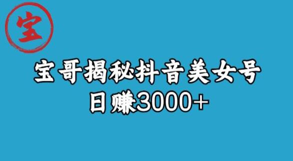 宝哥揭秘抖音美女号玩法，日赚3000+【揭秘】-优才资源站