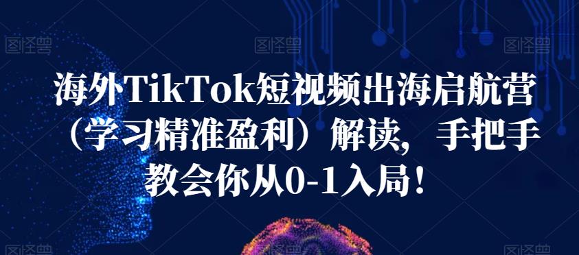 海外TikTok短视频出海启航营（学习精准盈利）解读，手把手教会你从0-1入局！-优才资源站