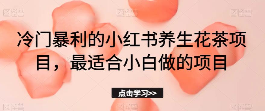 冷门暴利的小红书养生花茶项目，最适合小白做的项目【揭秘】-优才资源站