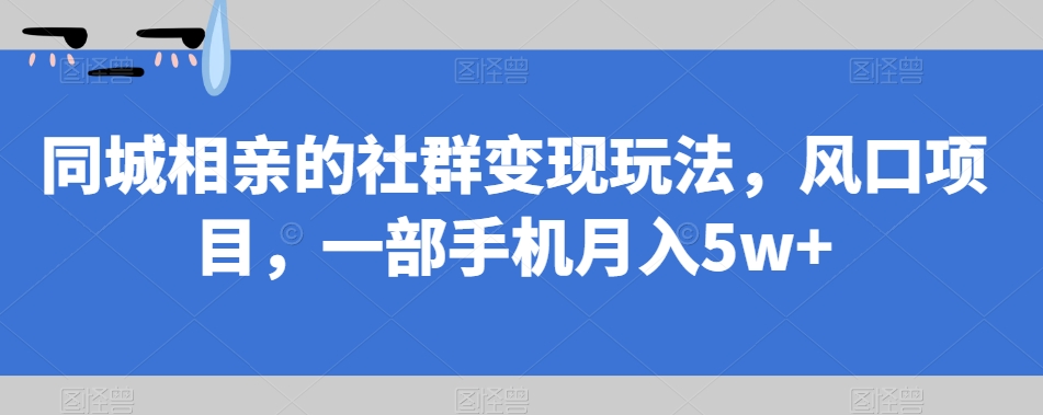 同城相亲的社群变现玩法，风口项目，一部手机月入5w+【揭秘】-优才资源站